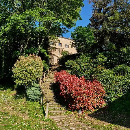 Palazzo Viviani - Castello Di 4* Montegridolfo